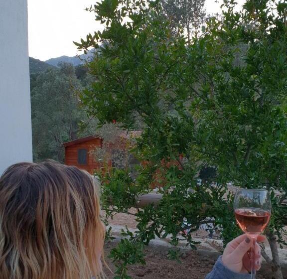 Standard Bungalow Trädgårdsutsikt, Artolive Datca