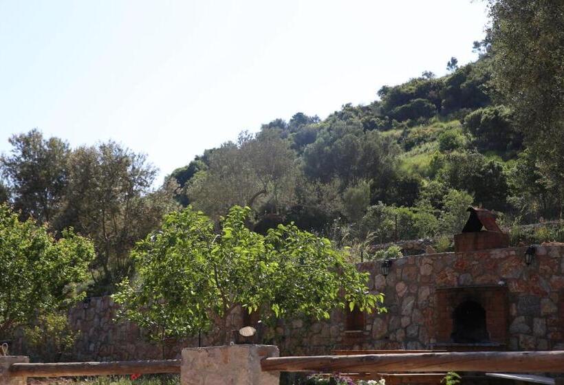 Standard Bungalow Trädgårdsutsikt, Artolive Datca