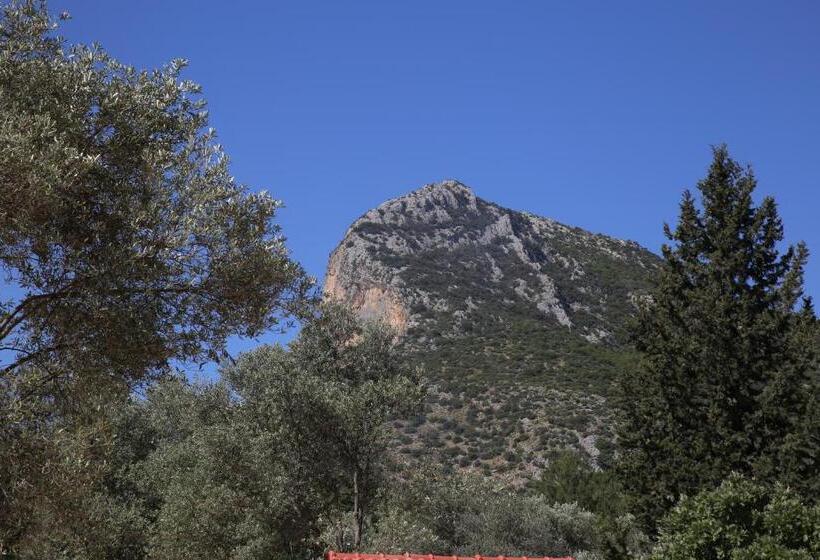 Standard Bungalow Trädgårdsutsikt, Artolive Datca