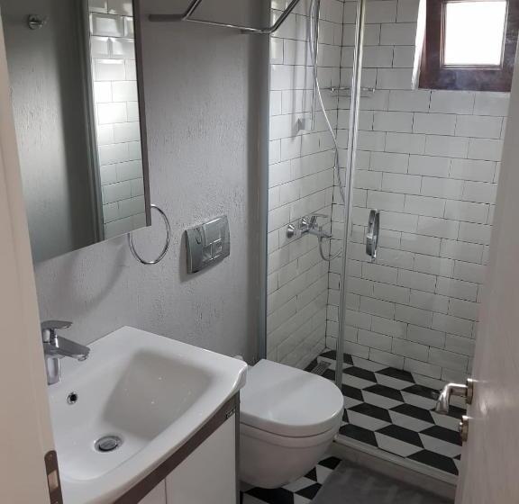 Standardrum, Artolive Datca