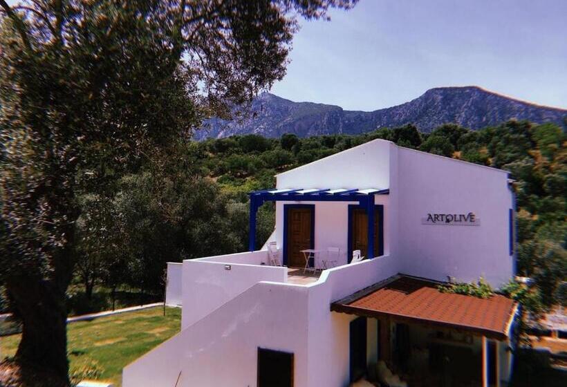 Standardrum, Artolive Datca