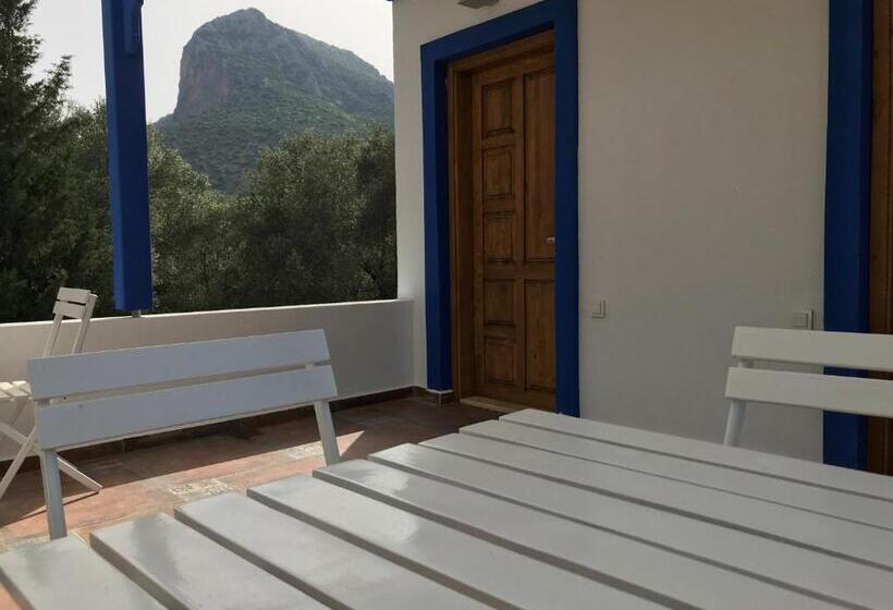 Standardrum, Artolive Datca