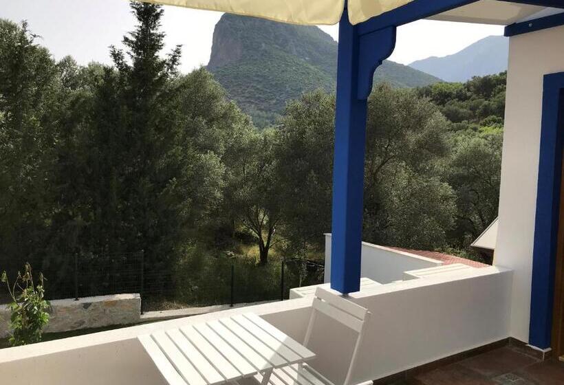 Standardrum, Artolive Datca