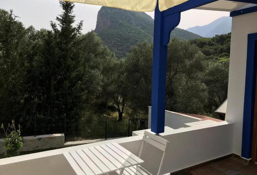 Standardrum, Artolive Datca