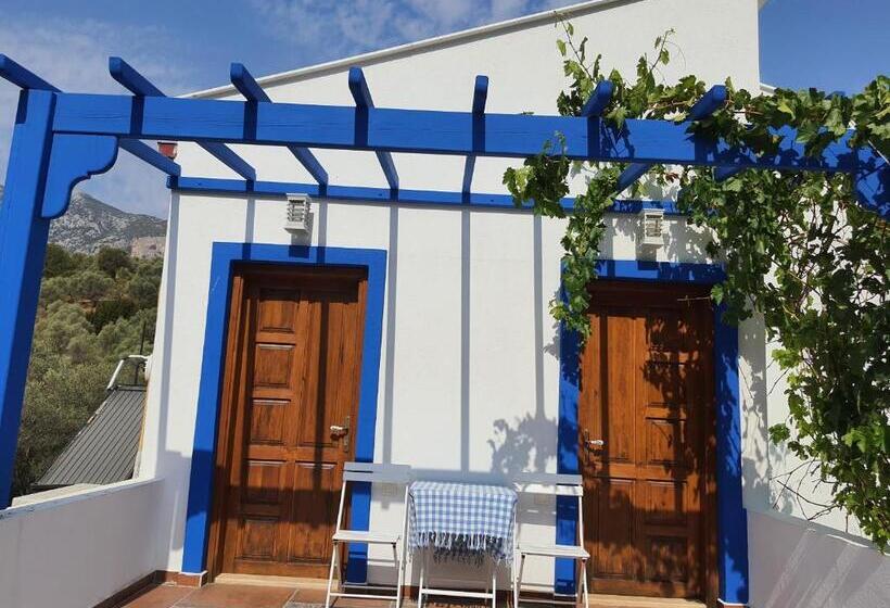 Standardrum, Artolive Datca