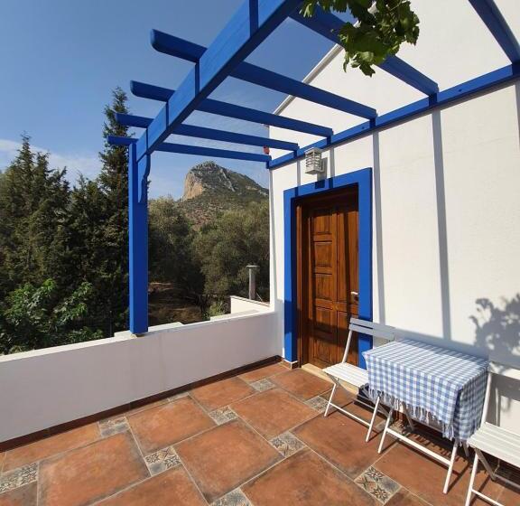 Standardrum, Artolive Datca