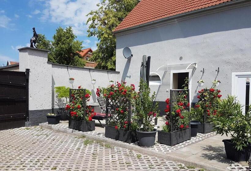 Номер Стандарт, Pferdepension Jäger