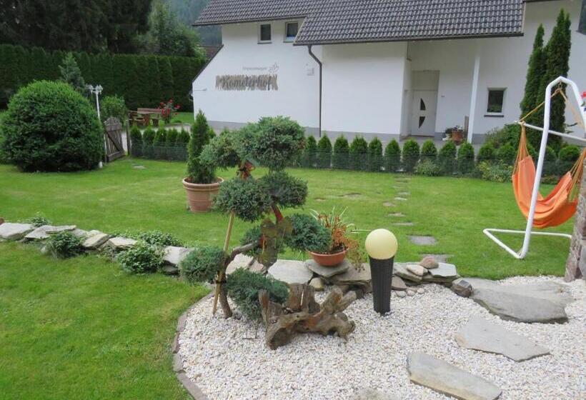 شقة غرفة واحدة مزودة بتراس, Apartmenthaus Kometerhof