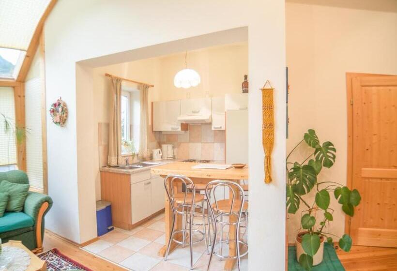 شقة غرفة نوم واحدة بالطابق الأرضى, Apartmenthaus Kometerhof