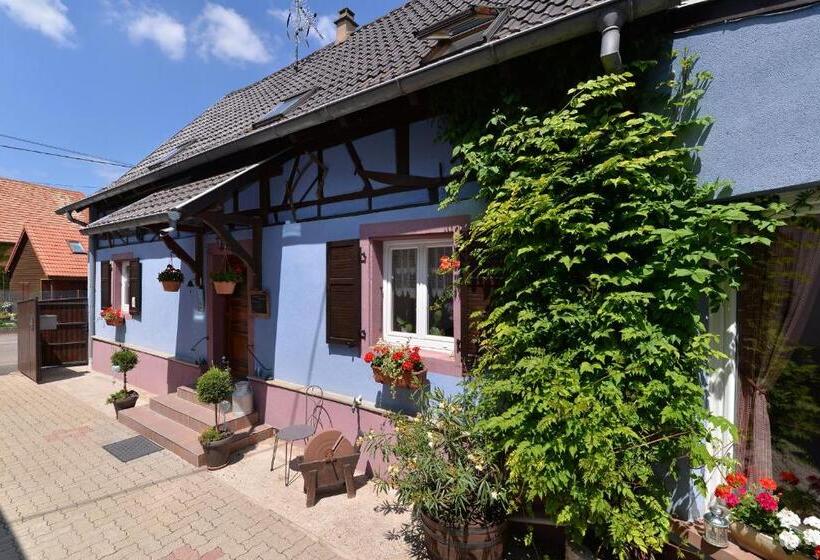 스탠다드 룸, Eden Des Choux