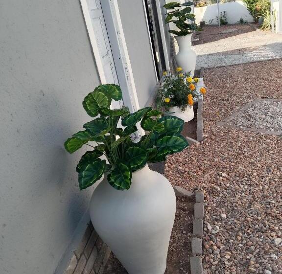 اتاق لوکس, Fourties Guest House