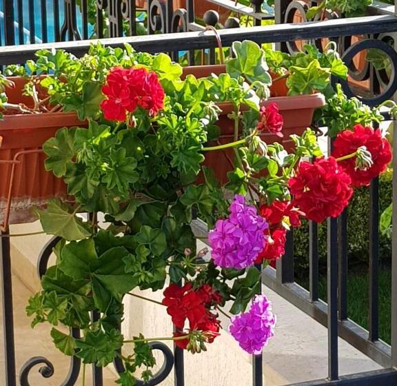 آپارتمان 1 خوابه با چشم‌انداز دریا, Boulevard Sea Residence