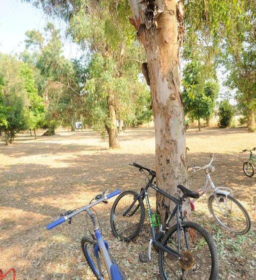 غرفة ديلوكس ثلاثية, Agriturismo La Giannottola