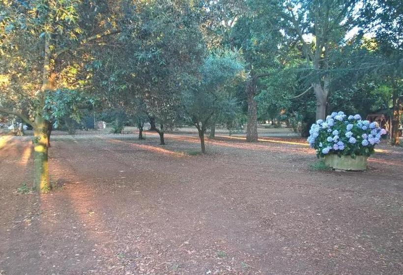 חדר דלוקס, Agriturismo La Giannottola