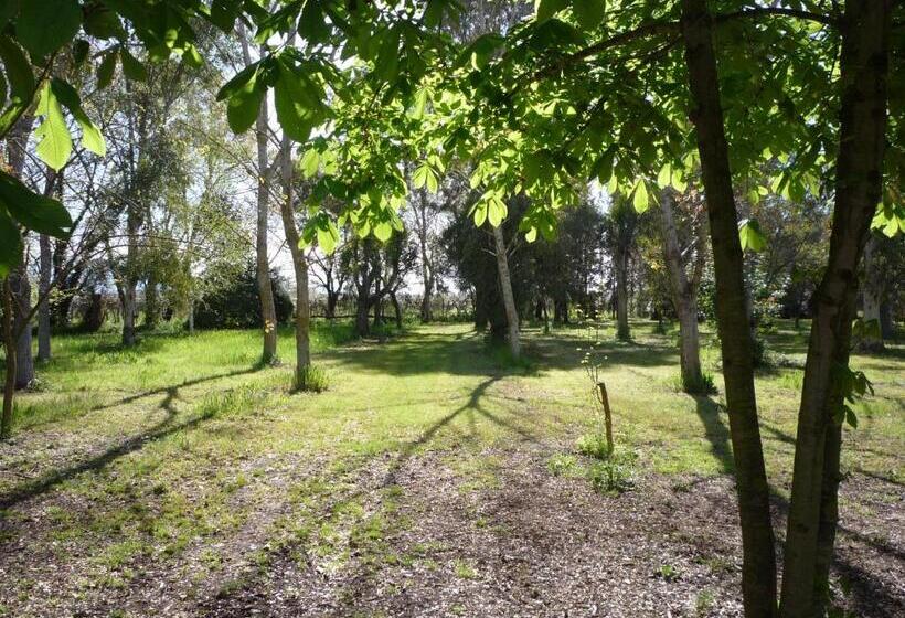 غرفة ديلوكس, Agriturismo La Giannottola