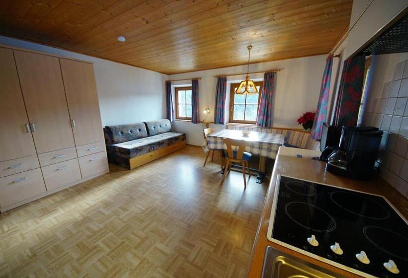 آپارتمان 1 خوابه, Soroea