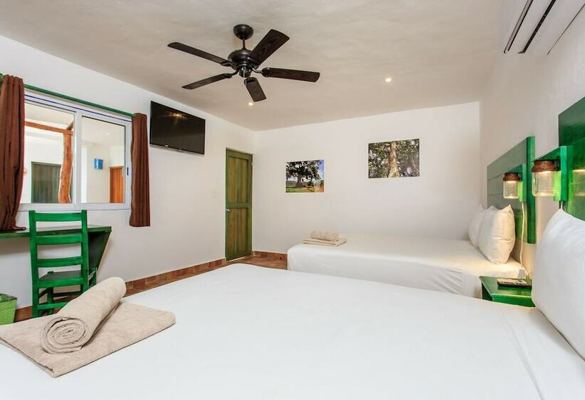 高级大房间, Matan Kaan By Guru