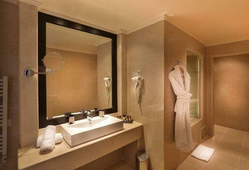 اتاق استاندارد با چشم‌انداز استخر, Grand Plaza Marrakech