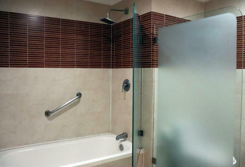 带大床的标准间, Rio 1300