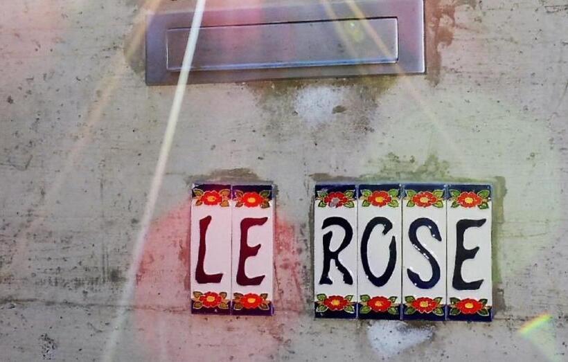 غرفة قياسية سرير كينج, Camera Hortensia By Le Rose