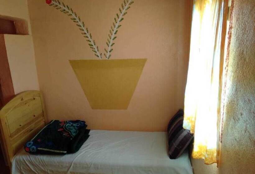 اتاق استاندارد, Auberge Aain Nakhla