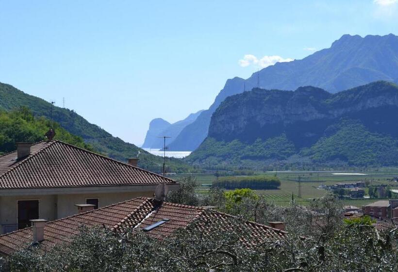 Pokój Standard Wspólna Łazienka, B&b Agli Ulivi