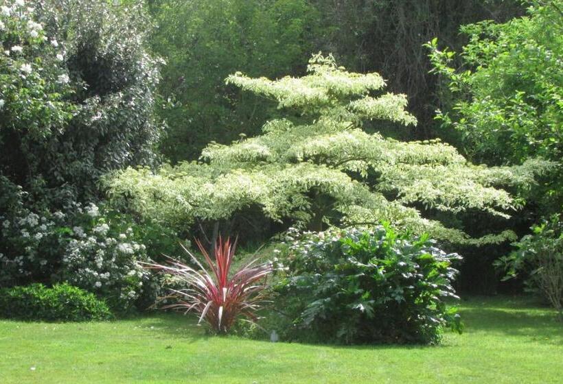 اتاق خانوادگی, L Agapanthe