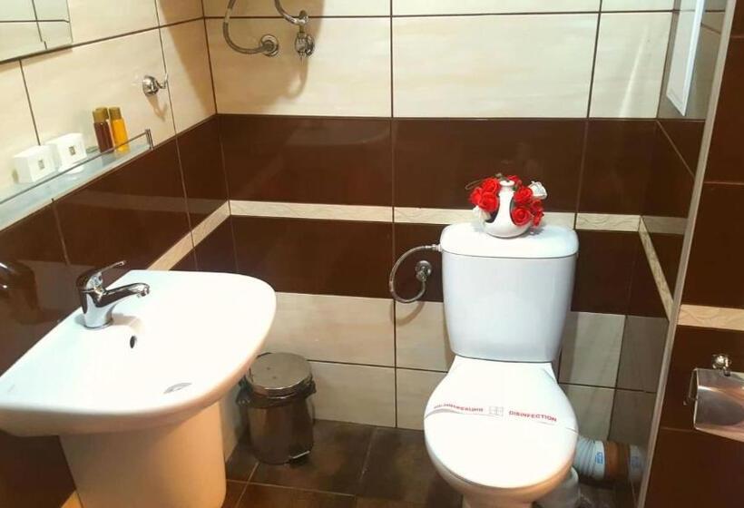 إستديو قياسى مزود بشرفة, Family Hotel Solar Central