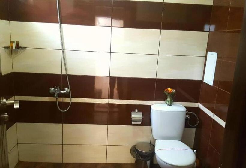 إستوديو قياسى سرير كينج, Family Hotel Solar Central