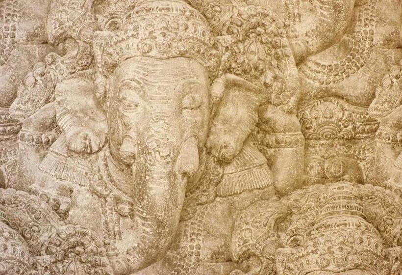 اتاق استاندارد, Bella Vista Sun Club