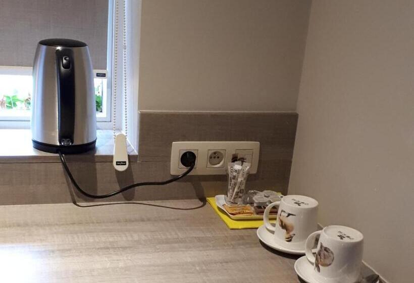 适合残疾人士使用的带超级大床的标准间, B&b  T Hannonshof