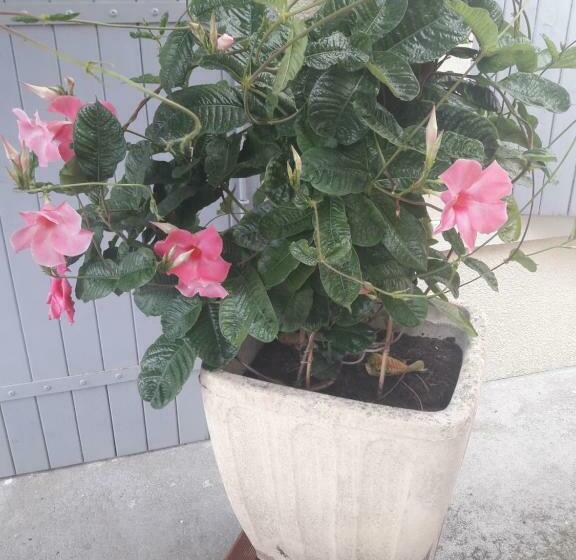 스탠다드 룸 풀장 전망, La Charentaise Ch D Hôtes ,studio