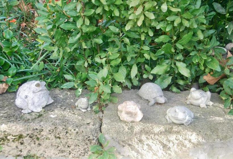 패밀리 룸, Les Volets Bleus Provence