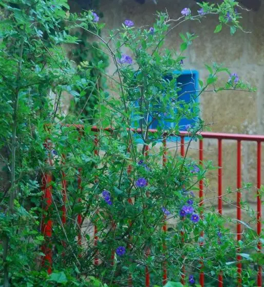 کلبه ییلاقی, Les Volets Bleus Provence