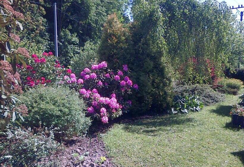 סטודיו סטנדרט עם מרפסת, Penzion Beskyd