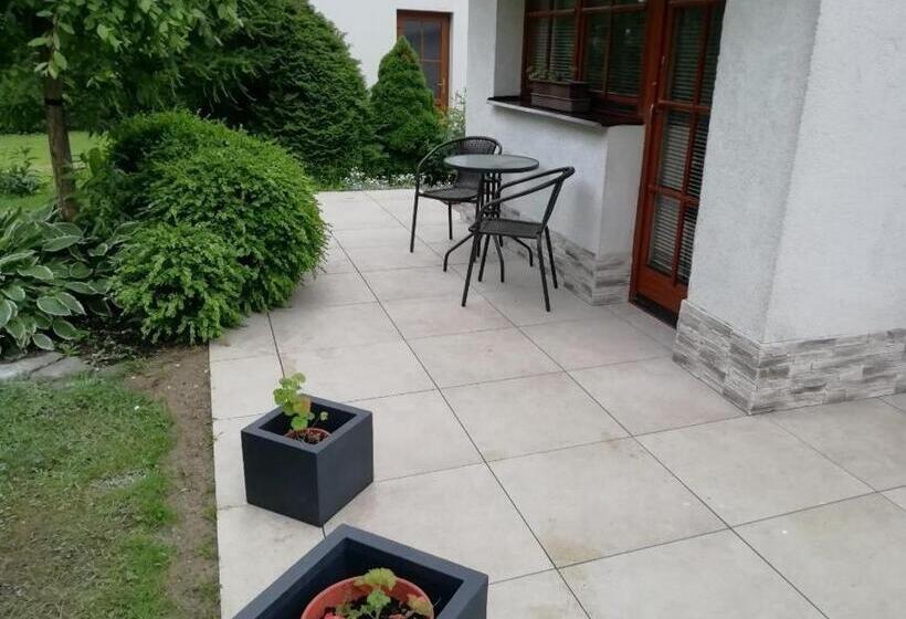 סטודיו סטנדרט עם מרפסת, Penzion Beskyd