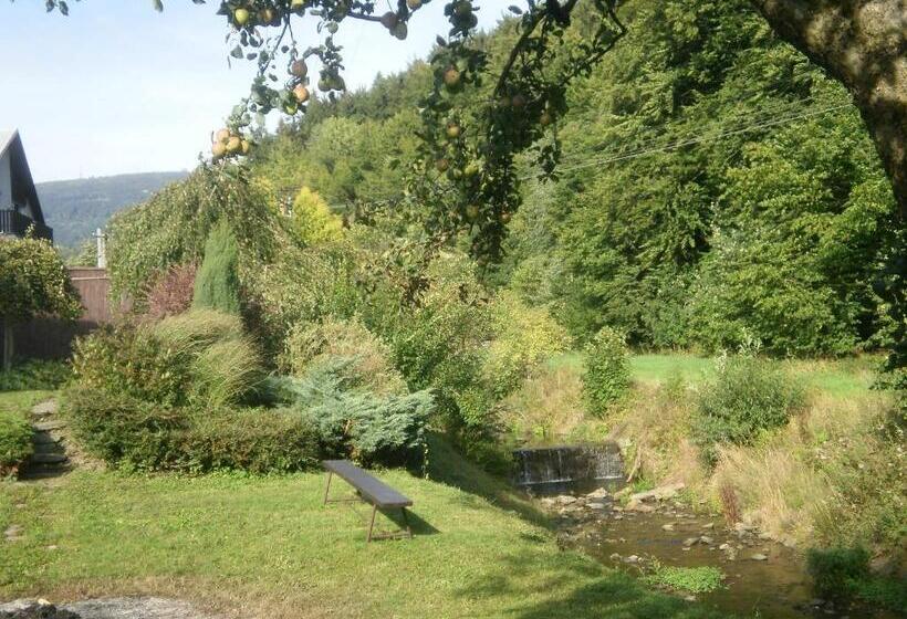 דירת חדר עם טרסה, Penzion Beskyd