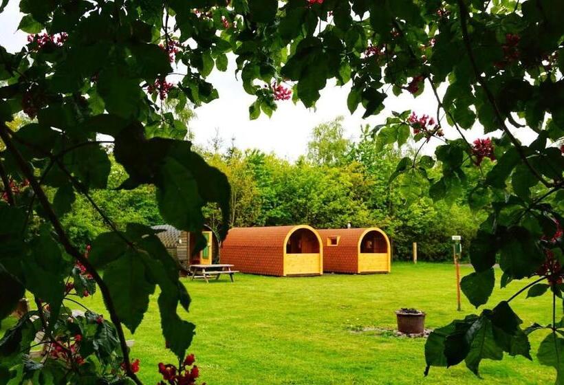 샬레, De Kapschuur