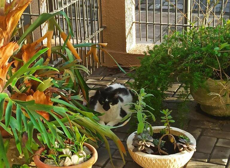 기본룸, Hostel Na Rota Da Serra Gaúcha