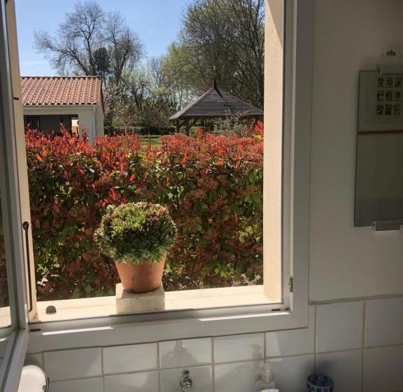 ２ベッドルームアパートメント, St Pasha