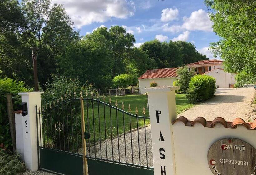 ２ベッドルームアパートメント, St Pasha