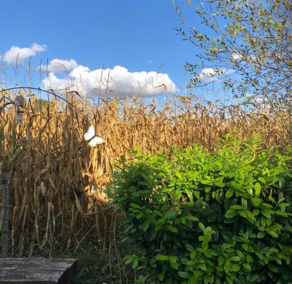 ２ベッドルームアパートメント, St Pasha