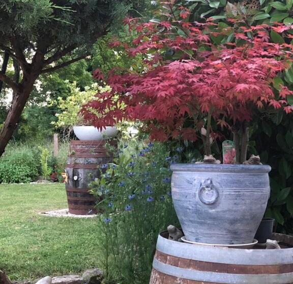 ２ベッドルームアパートメント, St Pasha