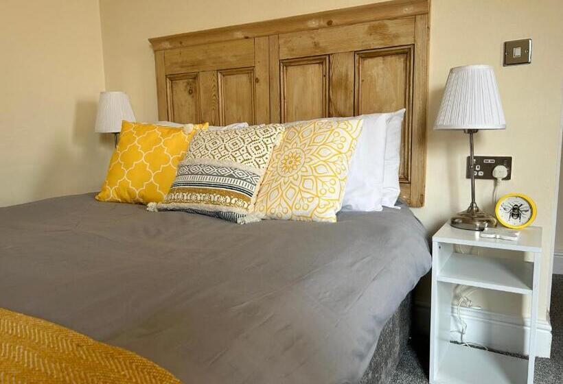 标准间, Bay Horse