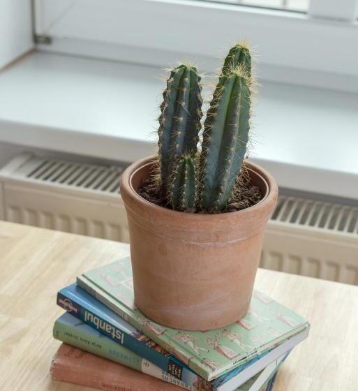 اتاق خانوادگی با چشم‌انداز باغ, Metro Apartments Vienna