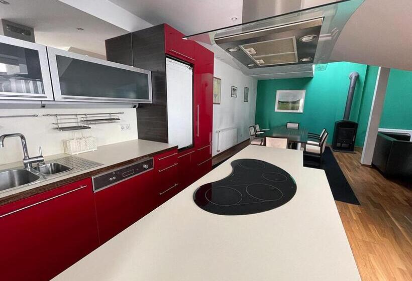 آپارتمان 1 خوابه با بالکن, Metro Apartments Vienna