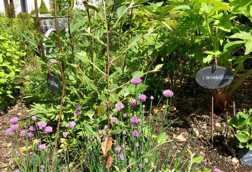 Номер Стандарт, Le Grenier Du Jardin