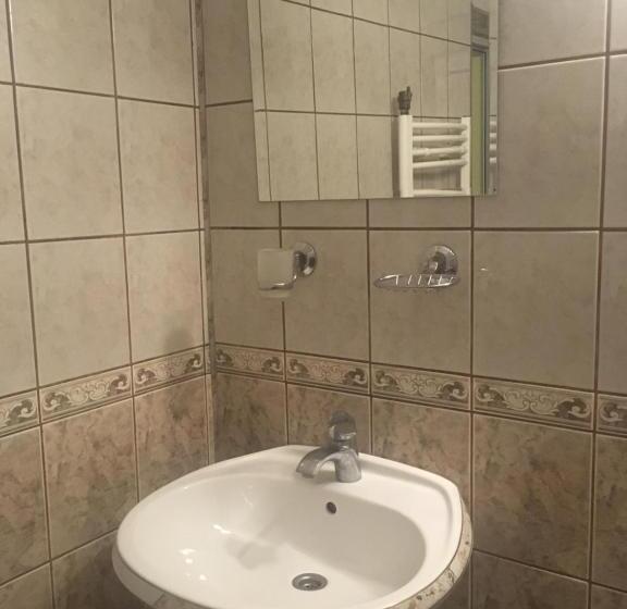 اتاق استاندارد سه نفره, Roger S