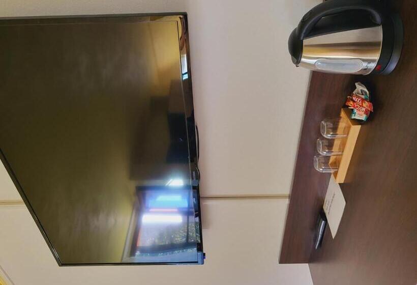 اتاق استاندارد سه نفره, Roger S