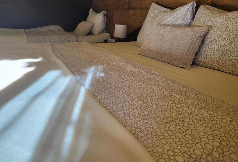 اتاق استاندارد سه نفره, Roger S